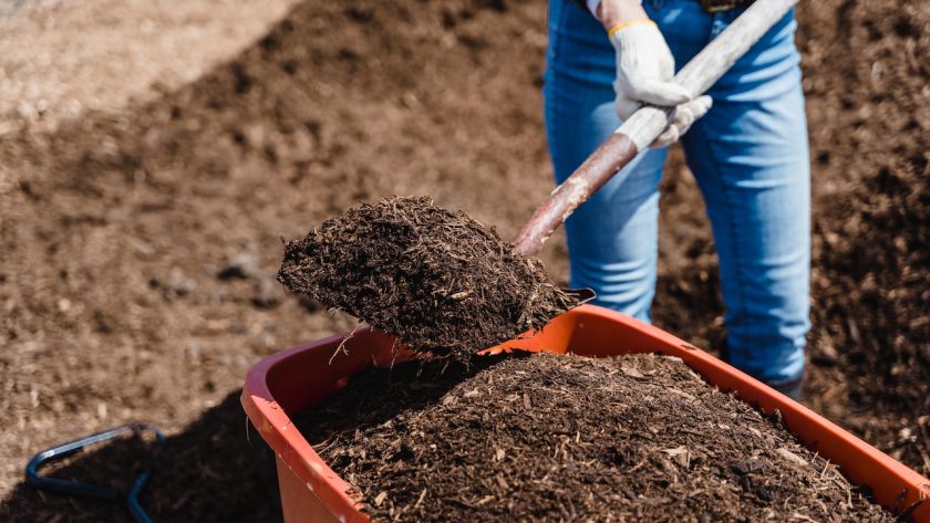 Le guide ultime pour réussir son compost à la maison