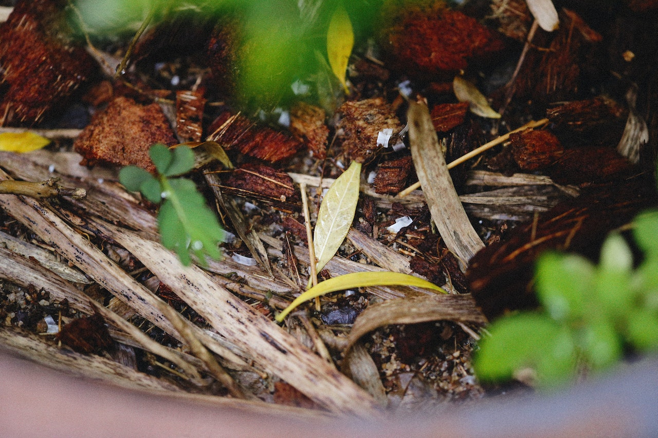 Les déchets verts