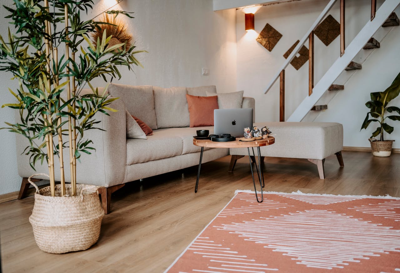 Le guide pour entretenir vos bambous d'intérieur au fil des saisons