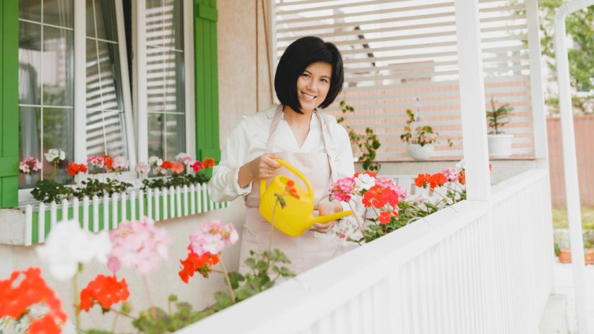 Les meilleures fleurs pour embellir son balcon